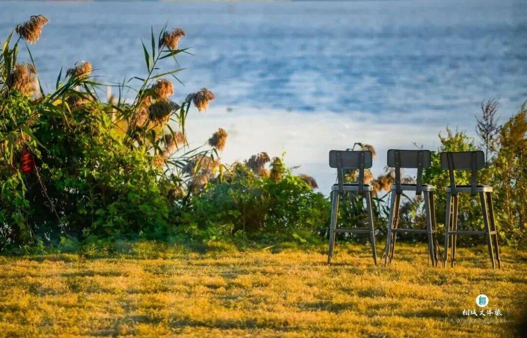 走苏通大桥的请注意了(图3) 走苏通大桥的请注意了(图3)